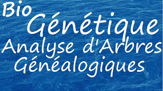 Génétique Analyse Arbre Généalogique [upl. by Klecka]