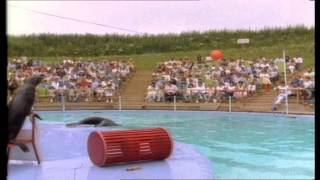 Pleasurewood Hills Promotional Video 1988 [upl. by Amat954]