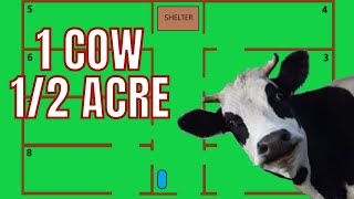 Half Acre Permaculture Cow Grazing Plans [upl. by Onihc333]