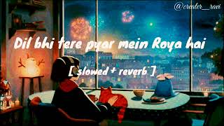 Dil bhi tere pyar mein roya hai  slowedReverblofi sad music  feel the music emotion [upl. by Nolad]