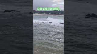 AVOCA POINT waves surfing bitchoppy centralcoastnsw lovethisplace yeewww Korn [upl. by Diahann]