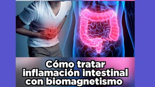 BIOMAGNETISMO  ¿Como tratar la inflamación intestinal con Biomagnetismo [upl. by Rotciv293]