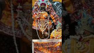 vrindavan krishna trendingbhajan viral krishnabhajanshortsfeed youtubeshorts [upl. by Ecyrb314]