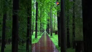 AweInspiring Wonders Amazing Nature Videos [upl. by Isdnil262]