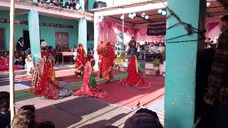 govt senior secondary school himgiri animal function26 December2024 [upl. by Emlen]