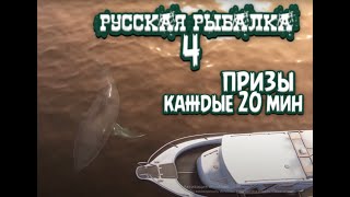 РР4  Утренний стрим  Просто ловим рыбку [upl. by Ziul79]