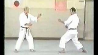 Wado Karate Techniques by Tatsuo Suzuki Sensei [upl. by Elyc684]