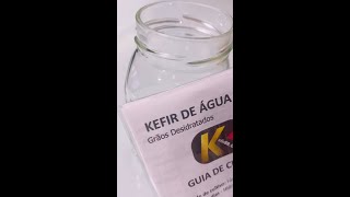 KEFIR DE ÁGUA  Uma bebida refrescante e levemente gaseificada [upl. by Schaumberger]