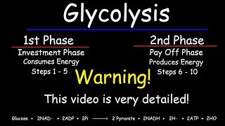 Glycolysis  Biochemistry [upl. by Asia]