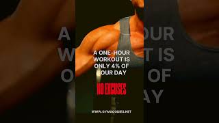 No Excuses fitness gymgoodies gym [upl. by Carry313]