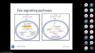 Network Pharmacological Techniques Next Generation Medicine Research Mode [upl. by Adnowal]