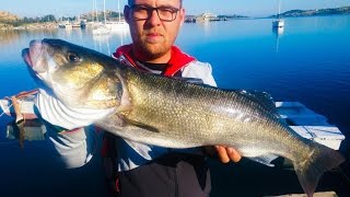 İncecik takımla Trofe Levrek Avı LRF Giant Sea Bass on Ultra Light Tackle [upl. by Latsyrcal740]