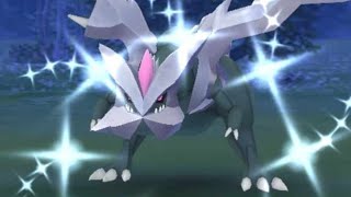 Kyurem Raid Hour  Shiny Hunt  LIVE  Pokemon GO [upl. by Otecina]