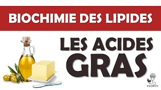 Biochimie des Lipides  les Acides Gras [upl. by Goodson]