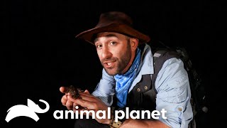 A Close Call Coyote Peterson Nearly Gets Bitten By A Shark  Coyote Peterson  Animal Planet [upl. by Iviv197]