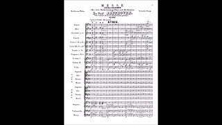 Beethoven  Missa Solemnis Op 123 Score [upl. by Cassie]