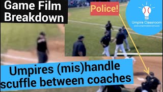 Umpire Review OnField Scuffle with No Ejections Police On Field Too [upl. by Bowes]