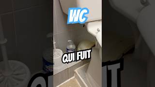 Réglage flotteur wc astuce plomberie [upl. by Isac]