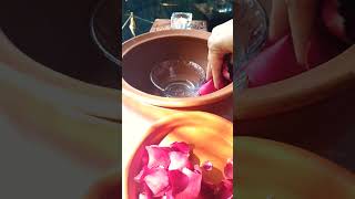 homemade distilled Rose 🌹 water perfect Toner for your skin skincare rose homemade rosewater [upl. by Rubliw]