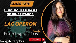 Lac Operon  molecular basis of inheritance class 12  in hindi biology neet youtube lacoperon [upl. by Eruza]