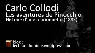 Les aventures de Pinocchio  Carlo Collodi  26 [upl. by Truelove]