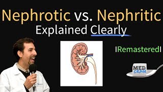 Nephrotic vs Nephritic Syndrome Proteinuria Hematuria Casts [upl. by Meer]