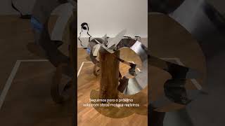 Lygia Clark na Pinacoteca de São Paulo [upl. by Alicec]