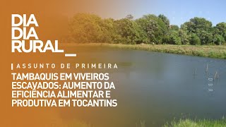 Tambaquis em viveiros escavados aumento da eficiência alimentar e produtiva em Tocantins [upl. by Milburt668]