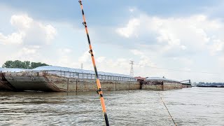 Fishing BARGES for Mississippi River MONSTERS [upl. by Amaleta61]