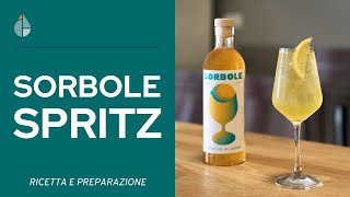 Sorbole Spritz ricetta dello Spritz Giallo con Sorbole Aperitivo al Limone Giallo è meglio [upl. by Yrolam]