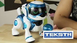 Teksta Robotic Puppy  Teksta Piesek Interaktywny [upl. by Ainej]