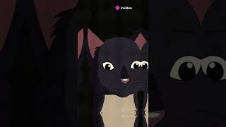 Adorable Cat Meowing Compilation 😺 [upl. by Raimundo]