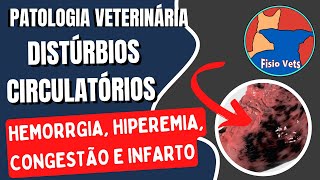 Hemorragia hiperemia congestão isquemia e infarto  Patologia geral  Medicina veterinária [upl. by Cyrus]