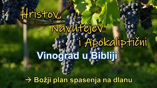 Hristov Navutejev i apokaliptični vinograd u Bibliji [upl. by Mello]