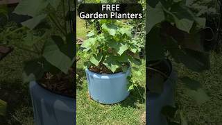 Free Garden Planters  Tips and Tricks garden gardening [upl. by Marley]