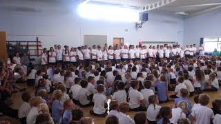 Year 6 Leavers song 2018 with adapted lyrics [upl. by Assital]