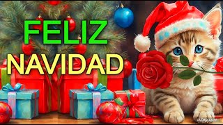 🌲Mensaje de NAVIDAD🌹Frases de Navidad 2023 Familia reflexión el MEJOR video [upl. by Silvester]