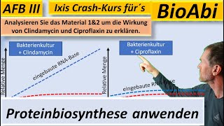 Proteinbiosynthese – Anwendungsaufgaben 1b – AFB III  Lösungsvorschlag  BioIxi  BioAbi  Best of [upl. by Arykahs]