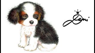 Hund Zeichnen 🐶 Cavalier King Charles Spaniel 🐕 Welpe Malen🐩 Dog Drawing 🐶How to draw a Puppy куче 狗 [upl. by Alfeus]