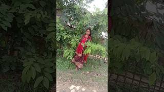 Sajan ji Ghar aayetrendingshorts hindisong allbollywoodsongs loveexplore youtubeshorts [upl. by Hankins]