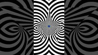 Prepare to Be Hypnotized by This Crazy Optical Illusion [upl. by Simpkins316]