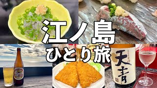 【江ノ島 日帰りひとり旅】湘南の海の幸を食べ尽くす江ノ島グルメ旅 [upl. by Nylekoorb704]