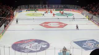 Sheffield Steelers Vs Eisbaren Berlin icehockey sheffieldsteelers eisbären berlin germany [upl. by Avad]