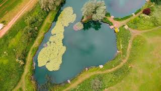 Pitsford Fishery Pitsford Northamptonshire [upl. by Bodi392]