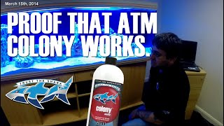 Nitrifying Bacteria Proof That ATM Colony Works [upl. by Garaway]