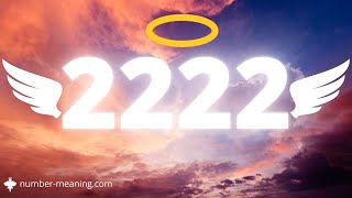 ANGEL NUMBER 2222  Meaning [upl. by Elga]