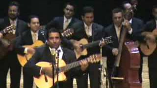 Rondalla del Sector Educativo  El Triunfo del Perdedor [upl. by Luckin]