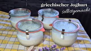 Griechischer Joghurt mit nur 2 Zutaten einfach selber machen spart Geld 143 [upl. by Mat]