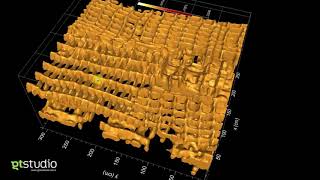 Structural GPR survey on concrete slab  Proceq GP8000 amp GPRSlice [upl. by Akapol642]