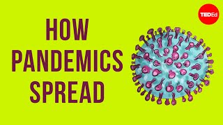 How pandemics spread [upl. by Einnel482]